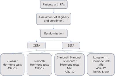 One-and-a-half nostril versus binostril endoscopic transsphenoidal approach to the pituitary adenomas: A prospective randomized controlled trial